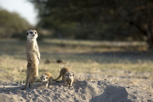 Ntwetwe Pan Expedition