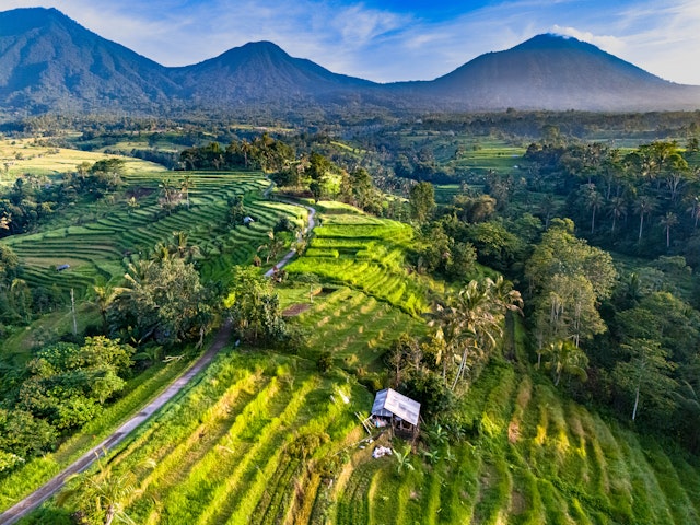  Sud de Bali/Ubud à Munduk
