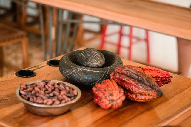 Kakao-Workshop - Vom Samen zur Tafel