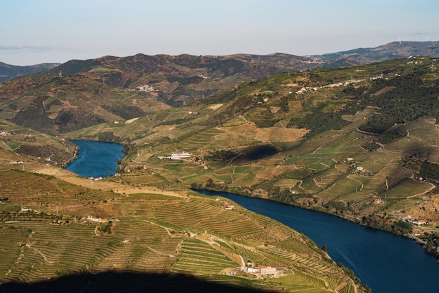 Full Day Douro Historical Tour