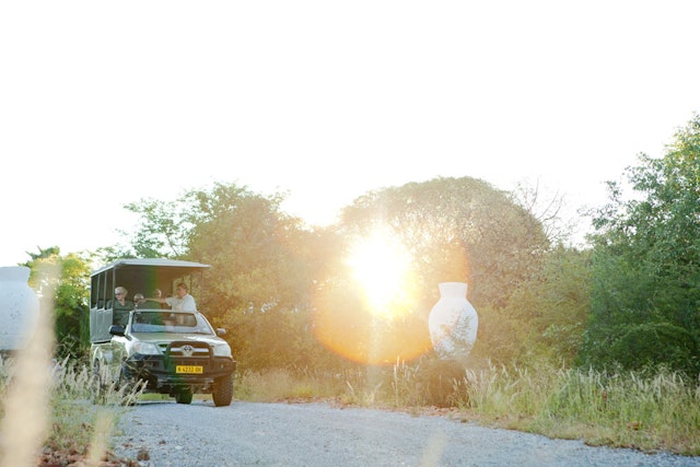 Geführte Safari in den Etosha-National