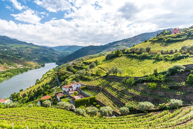 Douro Valley with Wine Tasting