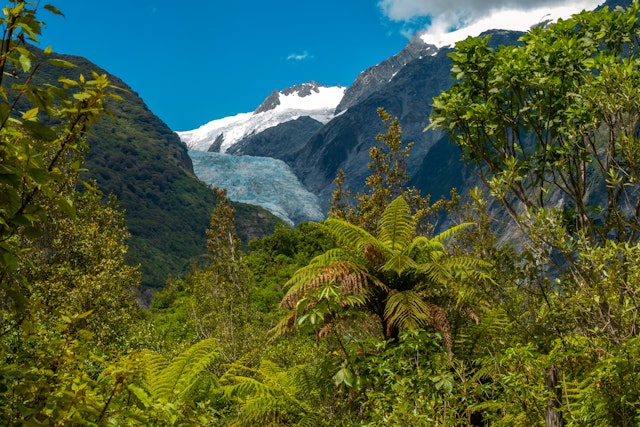 Franz Josef Nature Tour