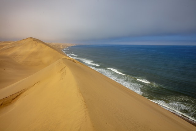 Tour du désert vivant