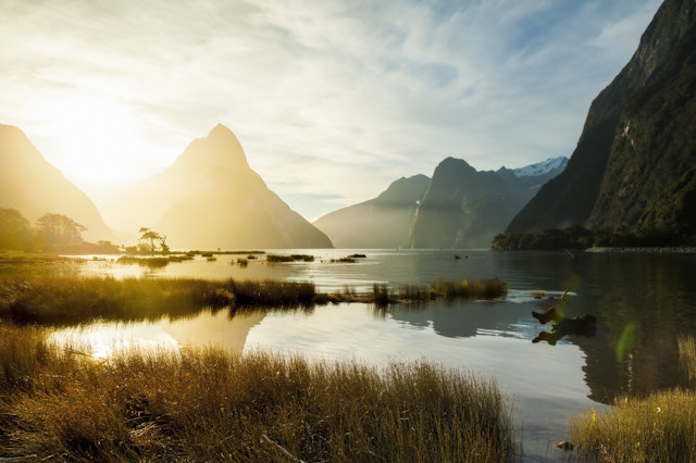 Milford Sound Bootstour mit Picnic
