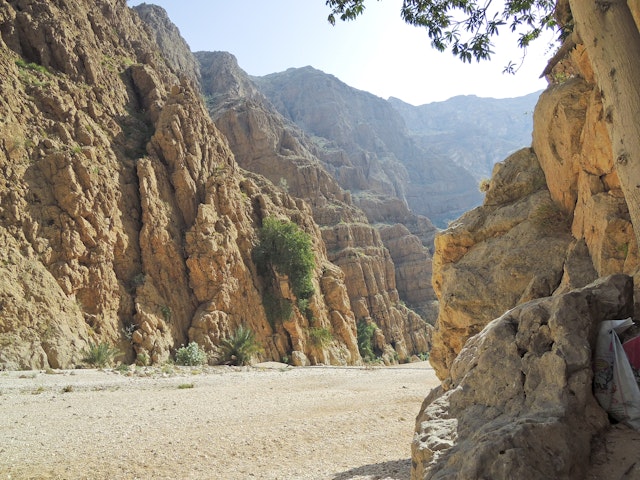 Visite guidée l'après-midi