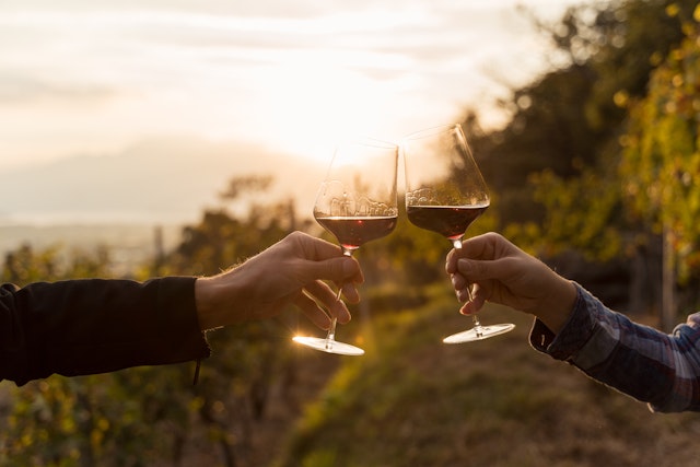 Weinproben im Alentejo mit E-bike Tour