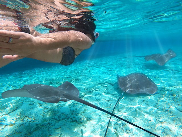 Authentische Shark & Lagoon Safari