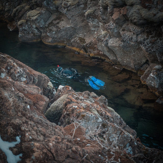 Silfra Schnorcheln in Thingvellir 