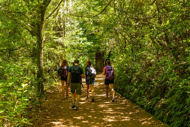 Randonnée Levada : Rabaçal / 25 Fontes