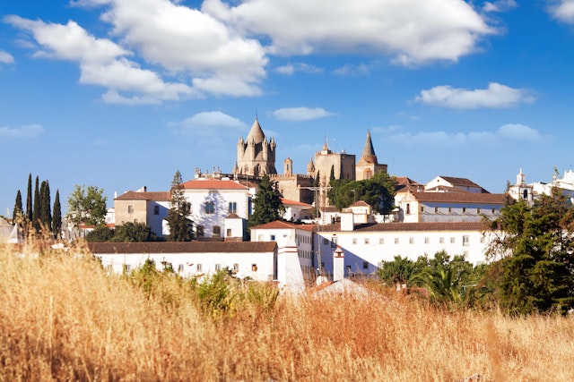 Évora Wine Tour with lunch