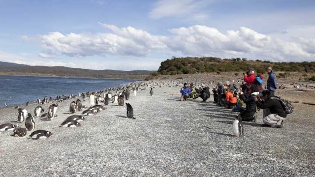 Pinguininsel Martillo mit Bootsfahrt