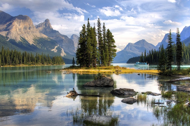 Wildlife Entdeckungstour