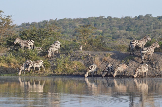 Lake Mburo - Bootsafari