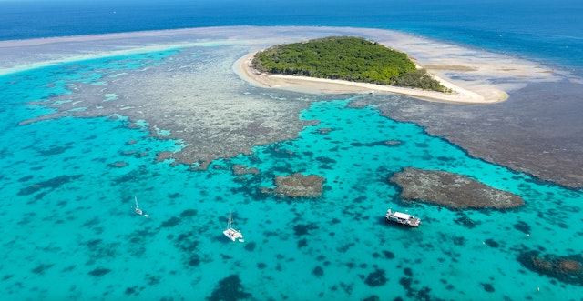 Croisière jusqu'au récif d'Agincourt