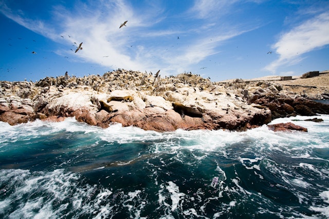 Paracas Bootstour & Ballestas Inseln