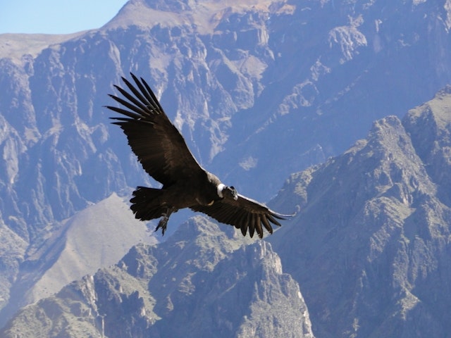 Tour durch die Hochanden