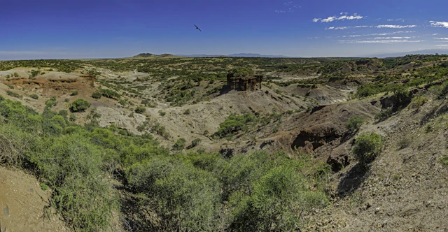 Olduvai George Besuch