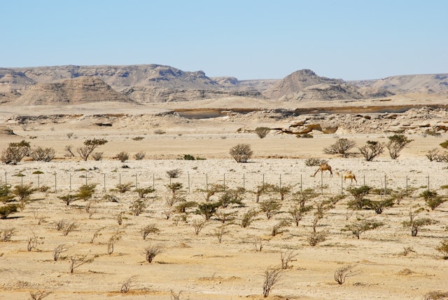Tour en jeep toute la journée