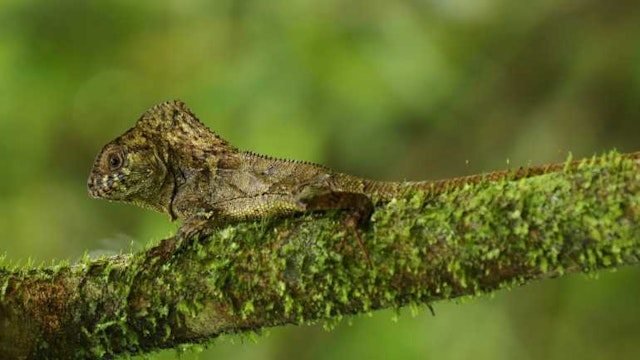 Libre accès aux sentiers de la réserve