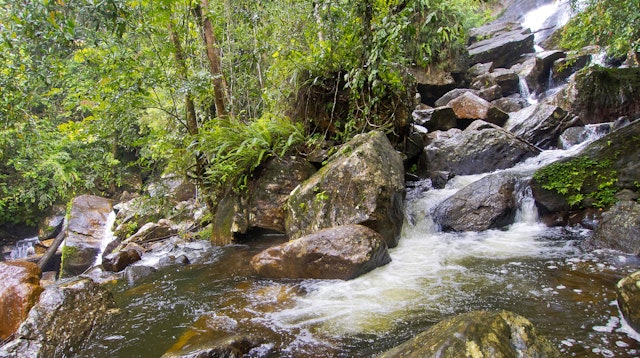 Trekking Tour im Sinharaja Regenwald