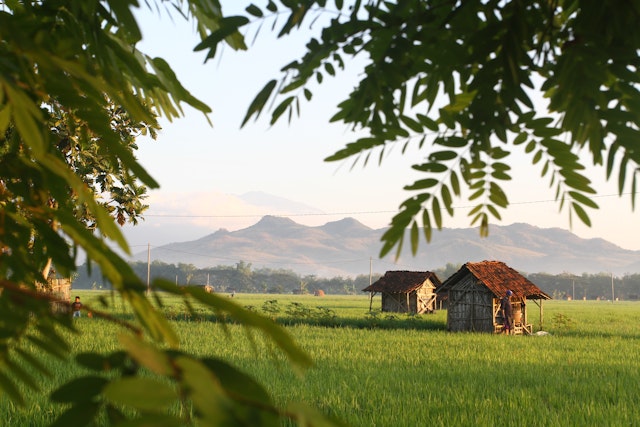 Erleben Sie das Dorf Udawadiya Village