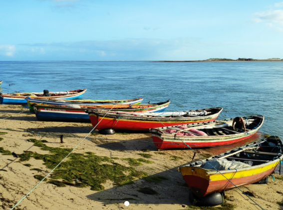 Plages de Tatajuba et Ilha do Amor