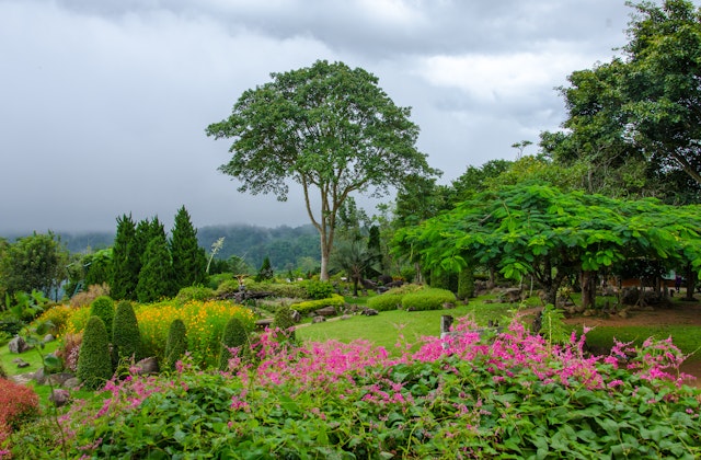 Visite guidée aux jardins de Perdeniya