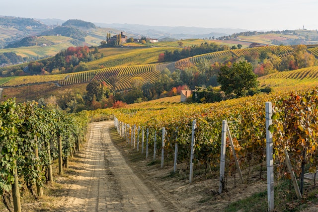 Barolo Weingut Tour mit Weinprobe