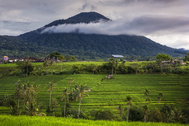 Süd-Bali Nach Lovina/ Pemuteran Gebiet
