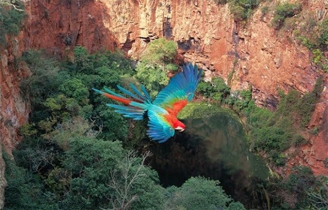 Buraco das Araras
