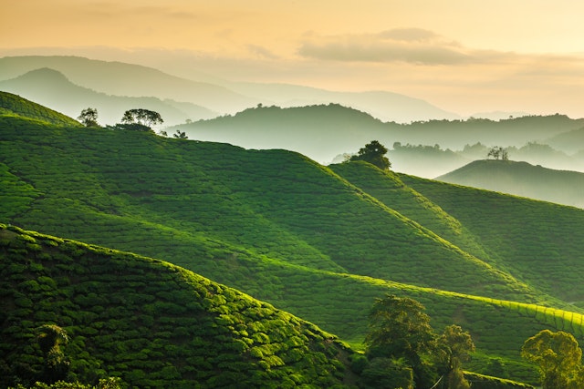 Berg- und Waldspaziergang