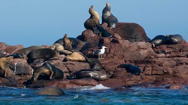 Ganztagestour Isla Espiritu Santo