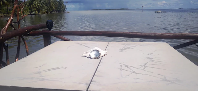 Tour de découverte de Tahaa