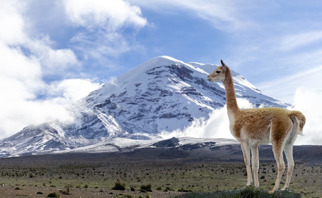Naturreservat Chimborazo