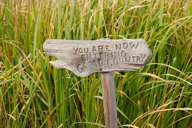 Swamp & Bayou Tour à Nouvelle-Orléans