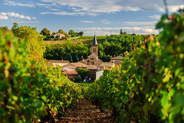 Beaujolais Wine Route