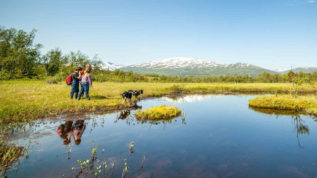 Husky-Wanderung und Welpenbesuch