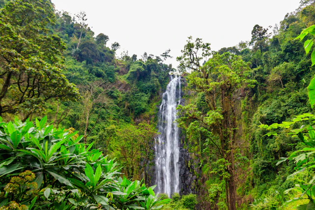 Heiße Quelle und Wasserfall