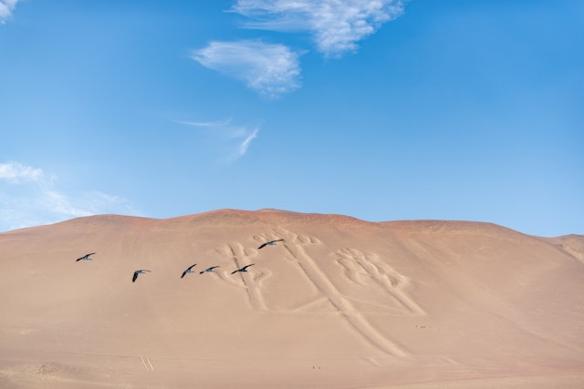 Buggy des dunes et planche à voile