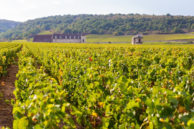 Wine Tour: Côte de Beaune