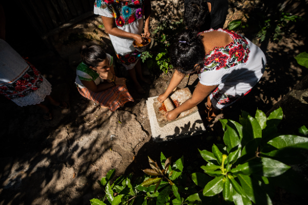 Eintauchen in die Yaxunah-Gemeinschaft
