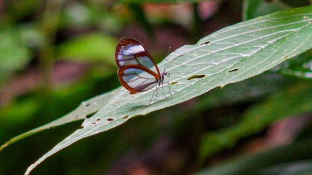 Tour du parc Mistico