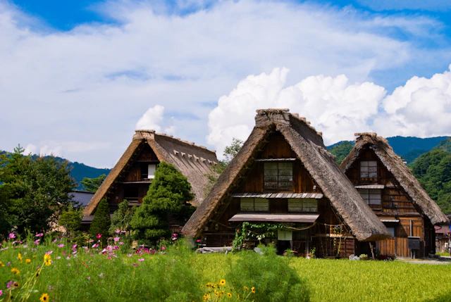 Shirakawa-go & Takayama
