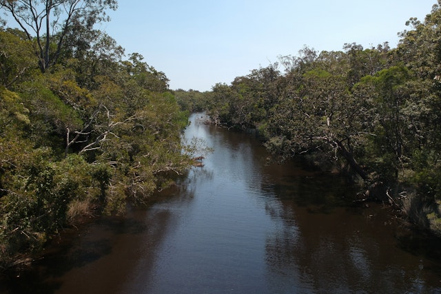 Everglades Eco Safari ab Noosa