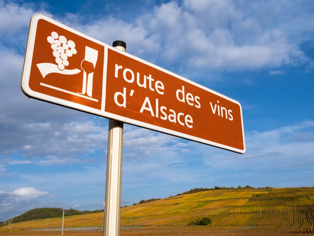  Alsace Wine Vineyard Tour