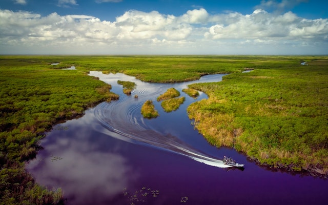 Everglades Airboat Abenteuer