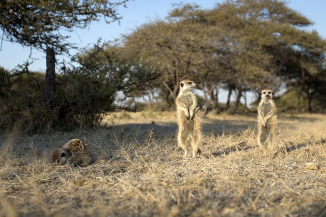 Ntwetwe Pan Expedition