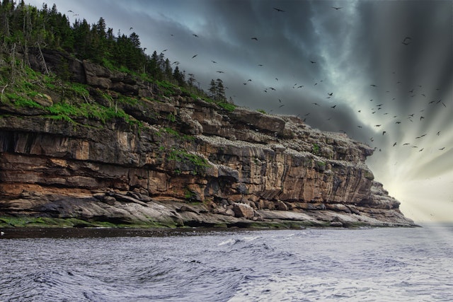 Percé Cruise & opt. Bonaventure Island