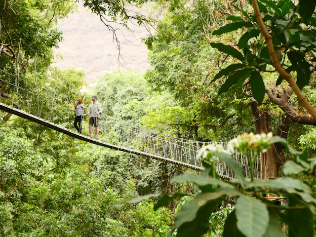 Manyara Baumkronenweg